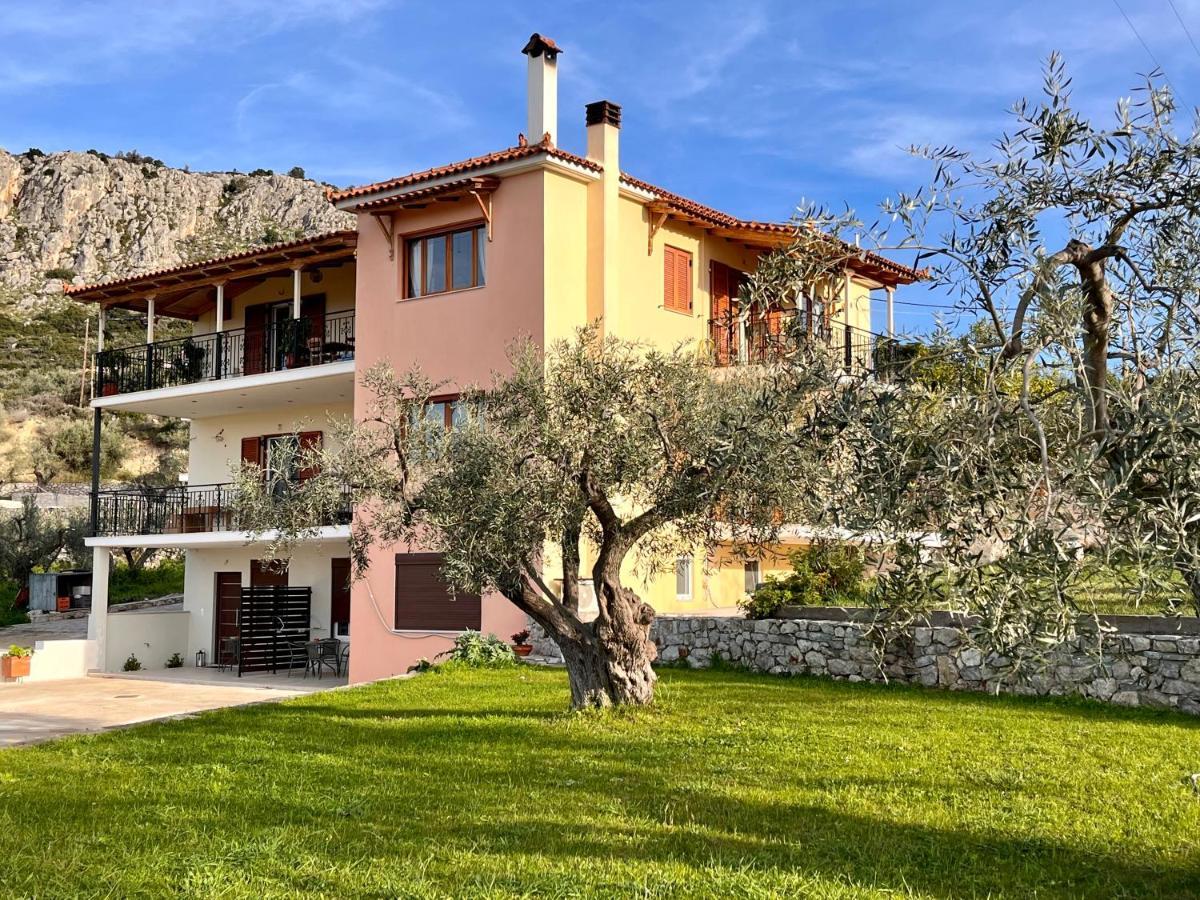 Ενtree Guest House Near Palamidi Castle Nafplio Exterior photo