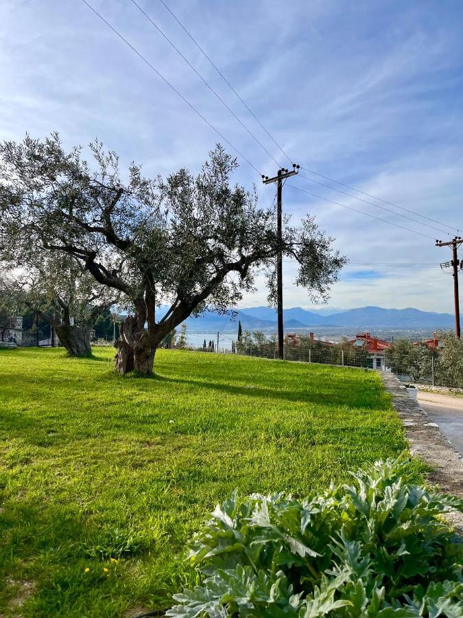 Ενtree Guest House Near Palamidi Castle Nafplio Exterior photo